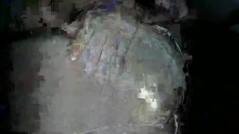 Snapshot of bigboybigbutt69 chatting on 15, 11, 2025 bigboybigbutt69 online show from 15, 11, 2025