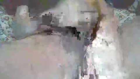 bigbr0wnc0ck69 online show from 9, 9, 2025