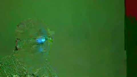 TheSexDistrict online show from 22, 12, 2024