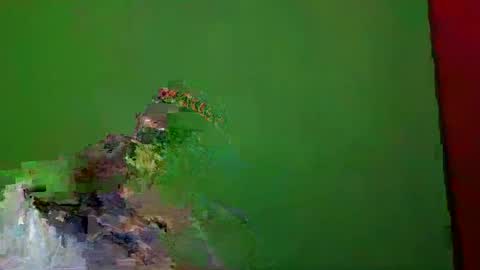 TheSexDistrict online show from 25, 12, 2024