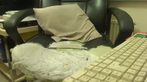 Snapshot of bigcurve chatting on 30, 1, 2025 bigcurve online show from 30, 1, 2025