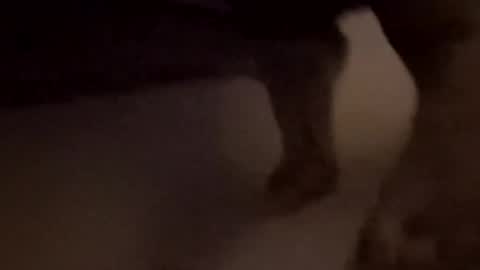 Snapshot of bigd12345678897020 chatting on 1, 11, 2025 bigd12345678897020 online show from 1, 11, 2025