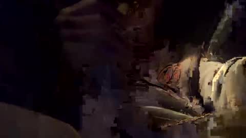 bigdaddysmoke69 online show from 11, 11, 2025