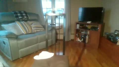 bigdeer58191747802843 online show from 18, 9, 2025