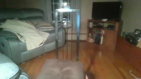 bigdeer58191747802843 online show from 7, 10, 2025
