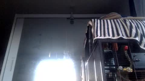 Snapshot of bigdickdangles472924 chatting on 19, 9, 2025 bigdickdangles472924 online show from 19, 9, 2025