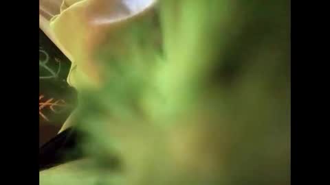 Snapshot of bigdickguy69690 chatting on 22, 2, 2025 bigdickguy69690 online show from 22, 2, 2025