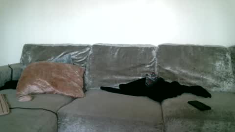 CAJEinc online show from 15, 2, 2025