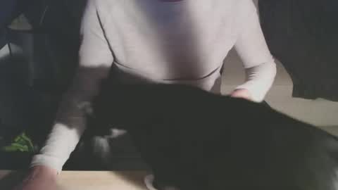 Snapshot of bigdutchenergy chatting on 28, 2, 2026 BigDutchEnergy online show from 28, 2, 2026