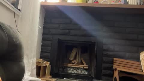 Daniel  Noelia online show from 17, 11, 2025