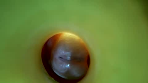 Snapshot of bigmoneycorey chatting on 16, 3, 2026 bigmoneycorey online show from 16, 3, 2026