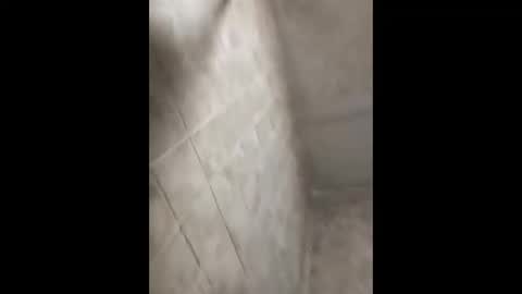 bignastyfilthy online show from 30, 9, 2025