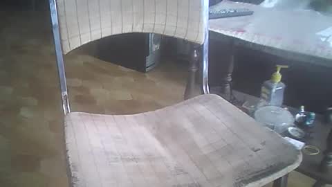 bigpenix online show from 21, 12, 2025