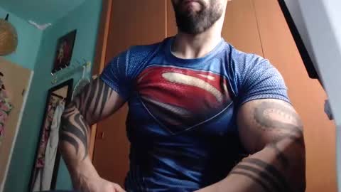 BigStallion online show from 19, 2, 2026