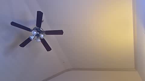 bigswoletroll online show from 12, 3, 2026