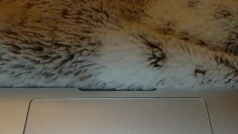 Snapshot of bigtitslover3500 chatting on 21, 3, 2026 bigtitslover3500 online show from 21, 3, 2026