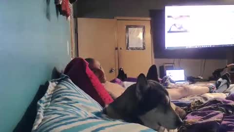 Snapshot of bigtomcat45 chatting on 24, 12, 2024 bigtomcat45 online show from 24, 12, 2024