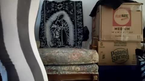 Snapshot of bigtopcircus chatting on 22, 9, 2025 bigtopcircus online show from 22, 9, 2025