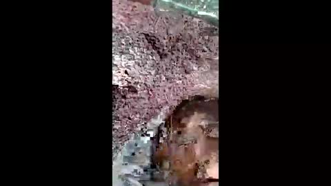 Snapshot of bigwalkdog420 chatting on 25, 12, 2024 bigwalkdog420 online show from 25, 12, 2024