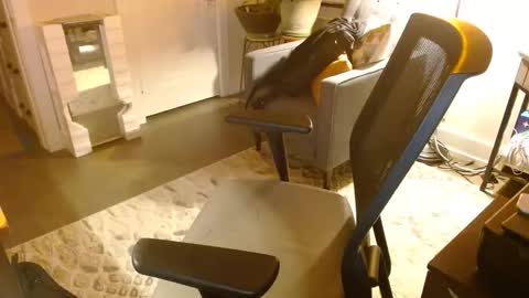 Snapshot of bijockdadohio chatting on 29, 3, 2026 Jeff online show from 29, 3, 2026