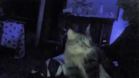 billenews online show from 26, 2, 2026