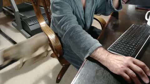 Snapshot of billy471 chatting on 23, 2, 2025 billy471 online show from 23, 2, 2025