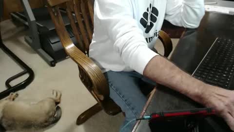 billy471 online show from 5, 3, 2026