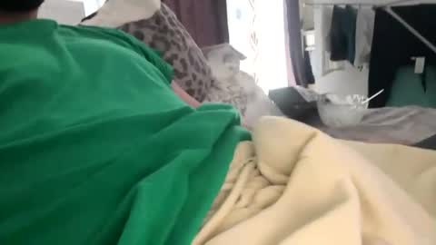 billy_antonny11 online show from 2, 3, 2026