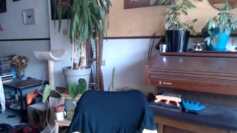 Snapshot of billy_fingercut chatting on 4, 3, 2025 Billy FingerCut online show from 4, 3, 2025