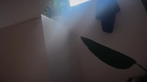 Bisexorcist online show from 8, 2, 2026