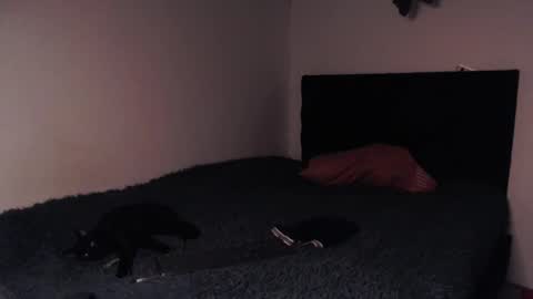 black_firex online show from 8, 10, 2025