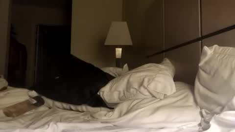 Snapshot of black_mamba2969 chatting on 23, 11, 2025 black_mamba2969 online show from 23, 11, 2025