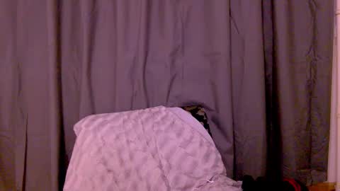 Snapshot of black_sswan chatting on 20, 2, 2026 Kristin online show from 20, 2, 2026