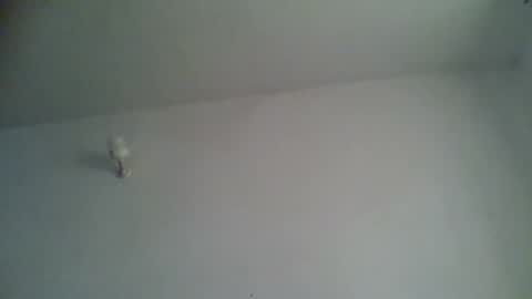 black african online show from 15, 11, 2025