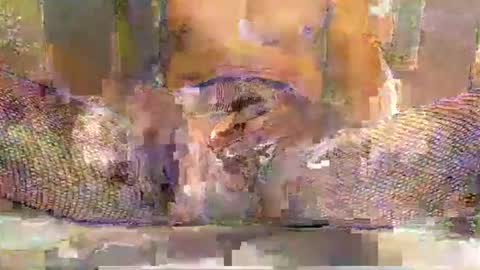 Snapshot of blackbigdickfr chatting on 20, 12, 2025 blackbigdickfr online show from 20, 12, 2025