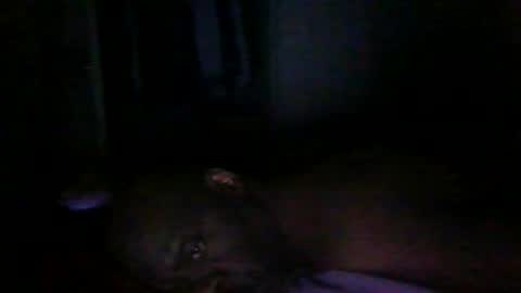 blackteddybear online show from 9, 3, 2026