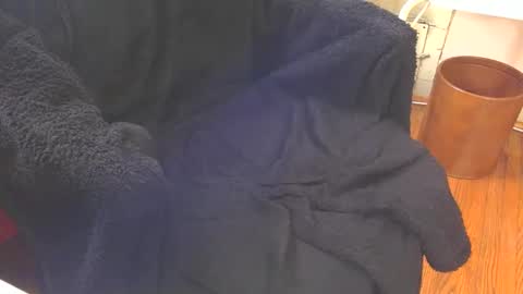 Snapshot of blackuncut55 chatting on 18, 2, 2025 Aqua online show from 18, 2, 2025