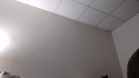 blahblam420 online show from 5, 2, 2025