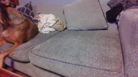 blaw_1321 online show from 10, 1, 2026