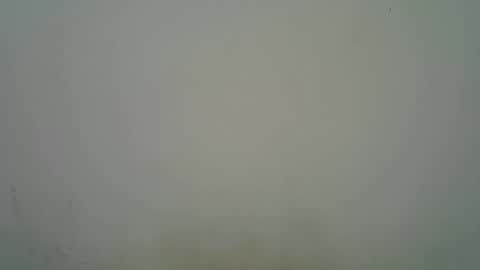 Snapshot of blesse_mixed chatting on 7, 11, 2025 Black brown online show from 7, 11, 2025