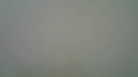 Snapshot of blesse_mixed chatting on 11, 11, 2025 Black brown online show from 11, 11, 2025