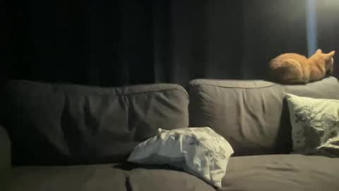 Snapshot of bllyidol chatting on 24, 11, 2025 BlIdoL online show from 24, 11, 2025