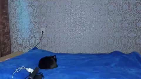 Snapshot of bloemetjes chatting on 16, 10, 2025 bloemetjes online show from 16, 10, 2025