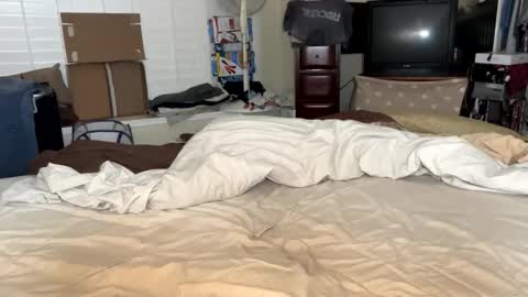 blue_cum_bunny123 online show from 16, 3, 2026