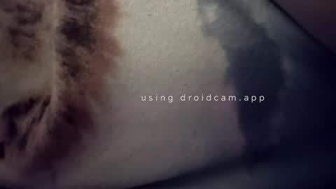 Snapshot of bluealpakka chatting on 15, 3, 2026 bluealpakka online show from 15, 3, 2026