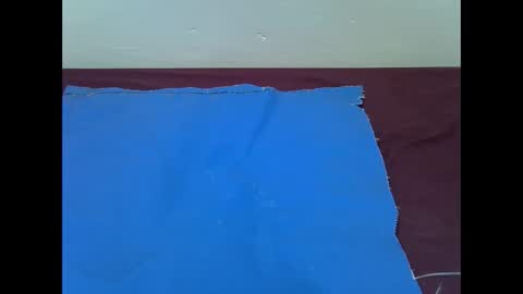 Bunny online show from 11, 11, 2025