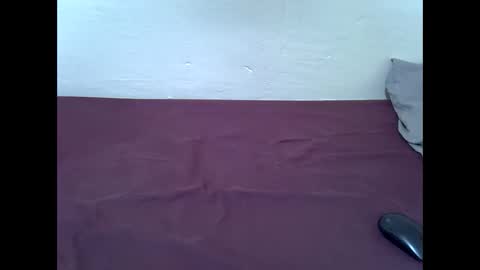 Snapshot of blushing_bunny chatting on 7, 2, 2026 Bunny online show from 7, 2, 2026