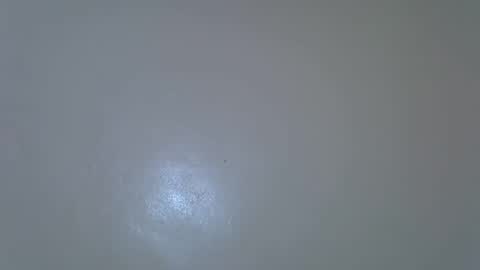 Snapshot of blushing_bunny chatting on 9, 2, 2026 Bunny online show from 9, 2, 2026