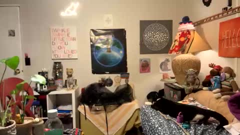 bobbyq2969 online show from 13, 11, 2025