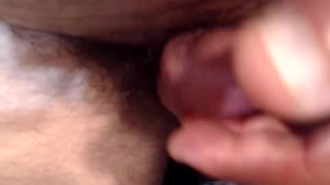 bobswan online show from 24, 11, 2025